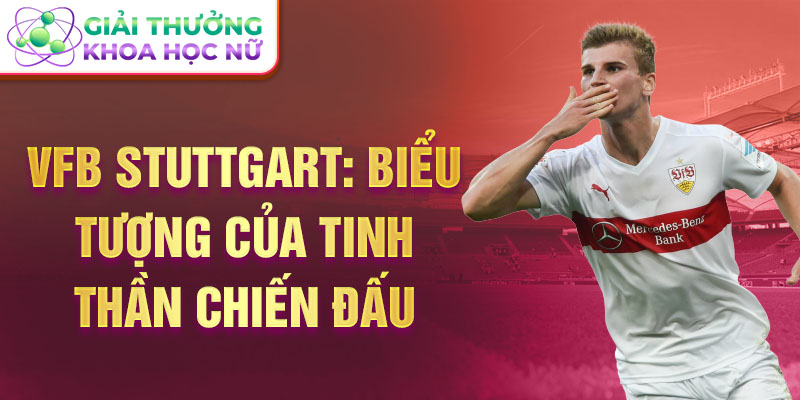 VfB Stuttgart: Biểu tượng của tinh thần chiến đấu