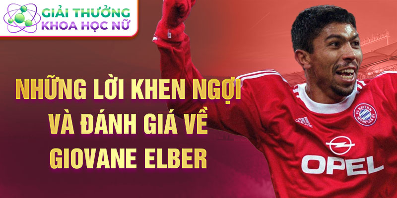 Những lời khen ngợi và đánh giá về Giovane Elber