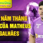 Những năm tháng đầu đời của matheus magalhães