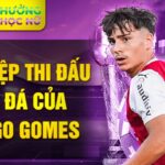 Sự nghiệp thi đấu bóng đá của rodrigo gomes