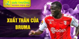 Xuất thân của bruma